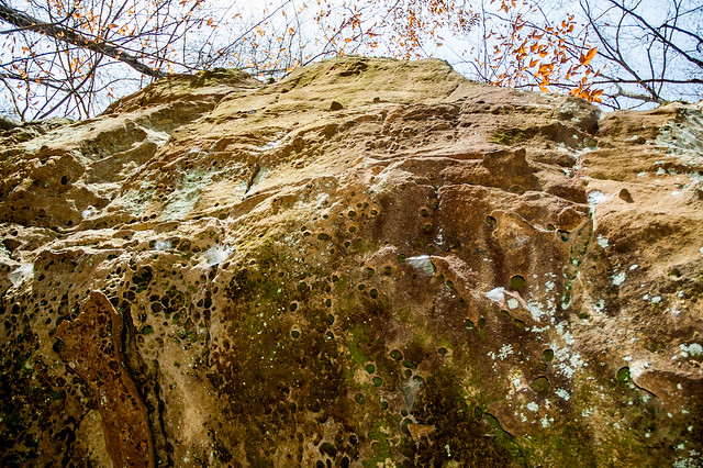 Hoosier National Forest - Hemlock Cliffs - November 8, 2014