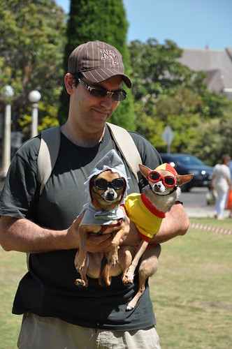 Pet's Day Out 2014