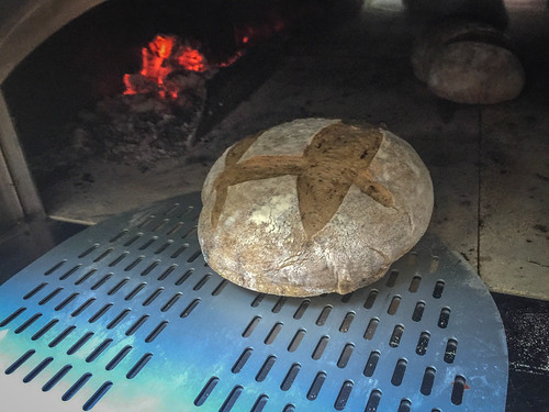 Hearth loaf in the wood oven. • <a style="font-size:0.8em;" href="http://www.flickr.com/photos/96277117@N00/28412700361/" target="_blank">View on Flickr</a>