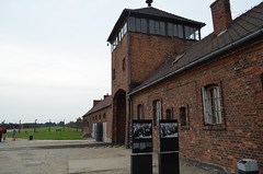 Auschwitz (21)