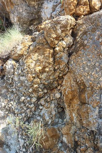 Conglomerate Rock, Riversleigh