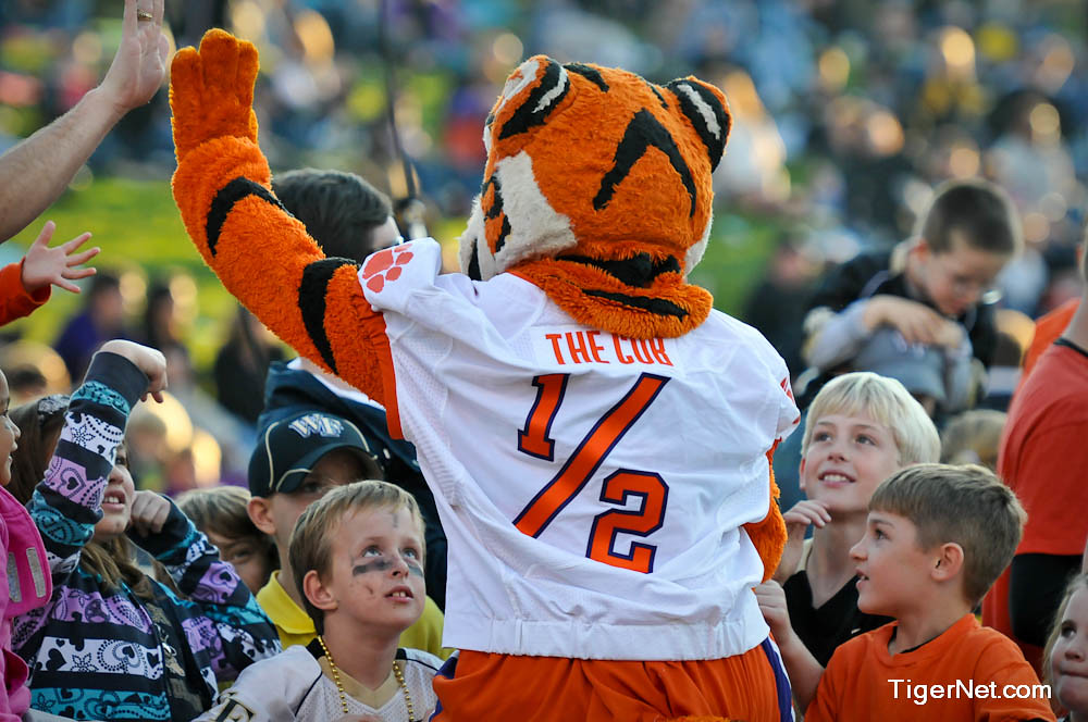 Clemson Football Photo of Tiger Cub and Wake Forest