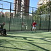 II Torneo de Pádel Inclusivo • <a style="font-size:0.8em;" href="http://www.flickr.com/photos/95967098@N05/15818010419/" target="_blank">View on Flickr</a>