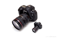 Canon 5D Mark III USB Flash Drive