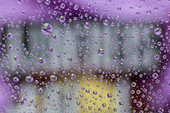 Water Droplet Photography: Serenity • <a style="font-size:0.8em;" href="http://www.flickr.com/photos/92159645@N05/15694737153/" target="_blank">View on Flickr</a>