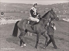 Pegwell Bay Racehorse