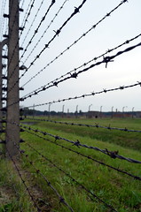 Auschwitz (18)