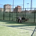 II Torneo de Pádel Inclusivo • <a style="font-size:0.8em;" href="http://www.flickr.com/photos/95967098@N05/16003321622/" target="_blank">View on Flickr</a>