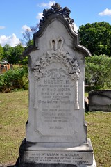 Mays Hill - Vidler family grave