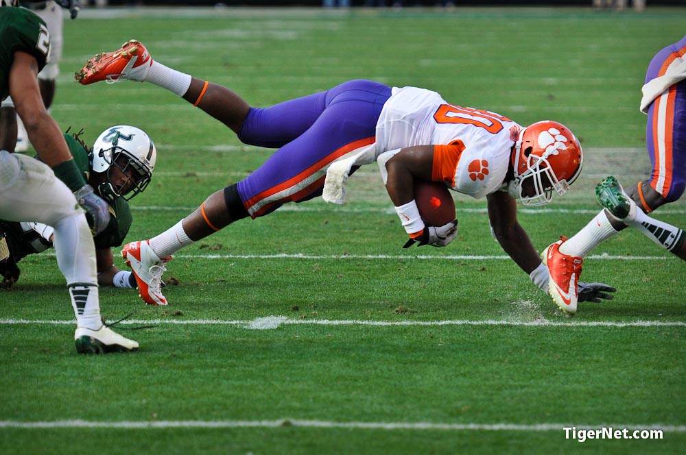 Clemson Football Photo of Bowl Game and Brandon Ford and southflorida