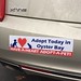 Town of Oyster Bay bumper sticker