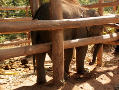 Mae Khm Koun, Wasserfälle & noch mehr Vats. // http://kiraton.com/mae-khm-koun-wasserfalle-noch-mehr-vats/