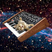 Cat in Space • <a style="font-size:0.8em;" href="http://www.flickr.com/photos/128988526@N08/15715935623/" target="_blank">View on Flickr</a>