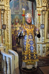DSC_0223_новый-размер