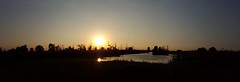 Sunset Oostvaardersplassen Panorama