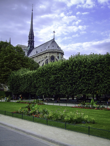 Kierunek Katedra Notre Dame