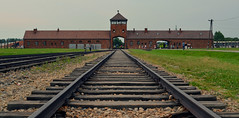 Auschwitz (4)