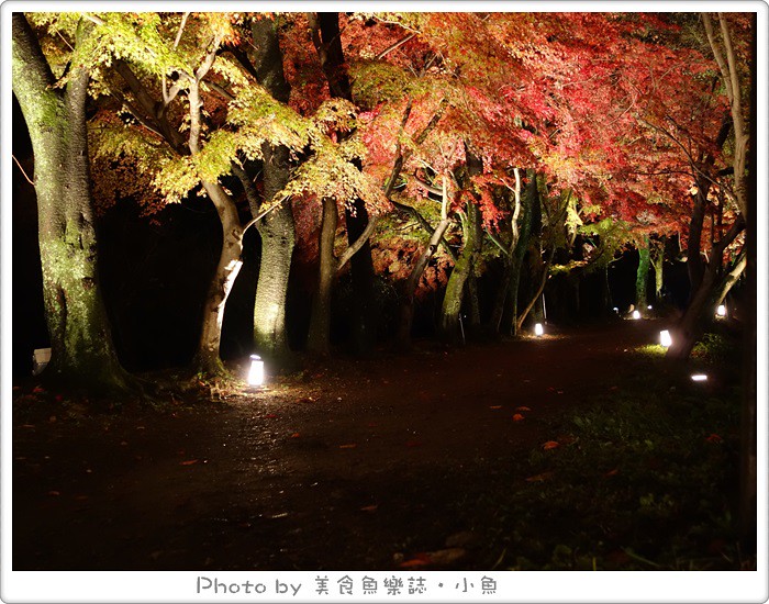【2014京都】嵐山大覺寺夜楓‧真紅の水鏡 @魚樂分享誌