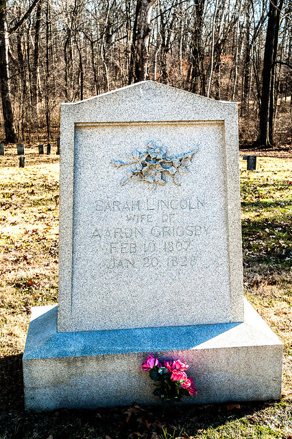 Lincoln State Park - Sarah Lincoln-Grigsby grave site - January 5, 2015