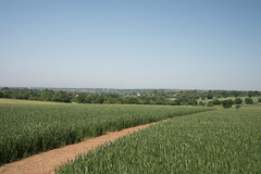 Roding valley