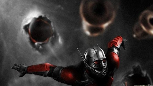Ant Man Comic Hero 2015 HD Wallpaper - Stylish HD Wallpapers - a photo on  Flickriver