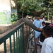 Elephant @ Lahore Zoo
