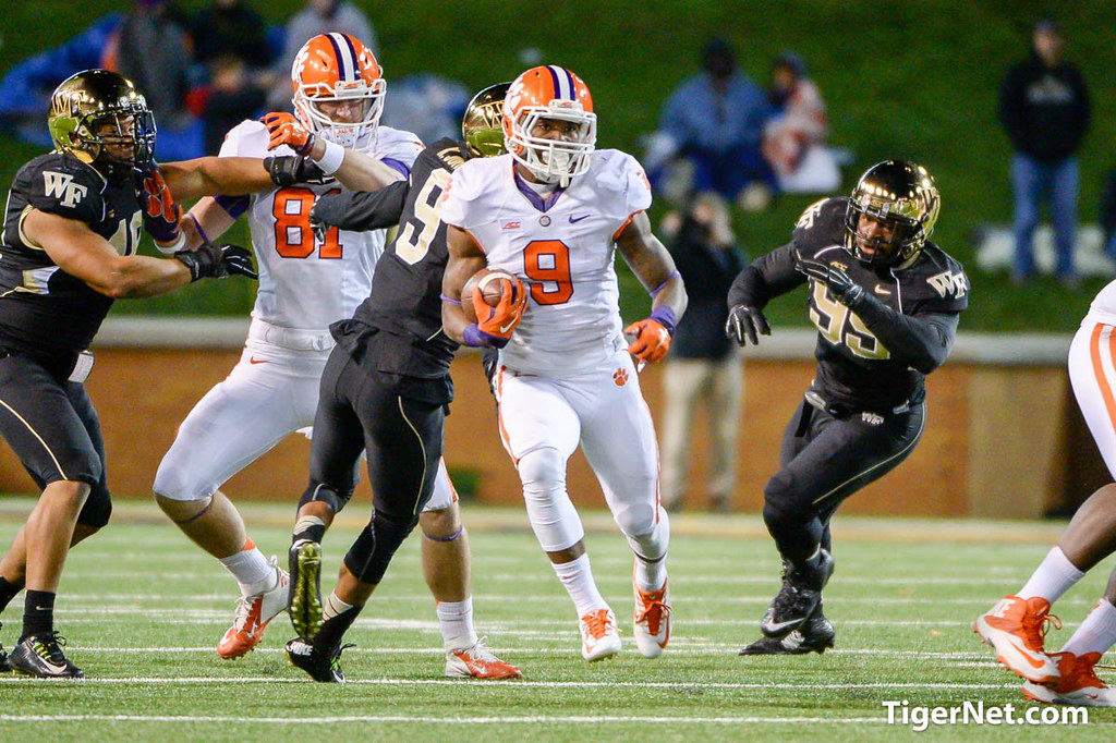 Clemson Football Photo of Mike Williams and Wake Forest