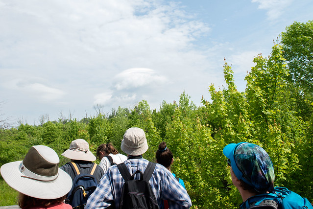 Beanblossom Bottoms Nature Preserve - Sierra Club Hike - May 28, 2016
