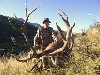 New Zealand Red Stag Hunting - Christchurch 46