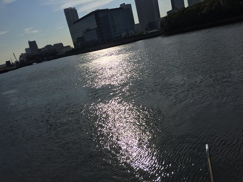 運河と太陽