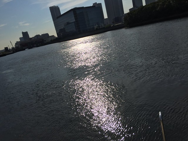 運河と太陽