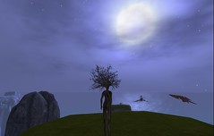 Outworldz on OpenSim • <a style="font-size:0.8em;" href="http://www.flickr.com/photos/126136906@N03/16336599974/" target="_blank">View on Flickr</a>