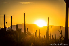 The sun coming up over the hills surrounding Tucson, Arizona.
