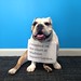 I vomited on the court at @TheGarden. Is that bad? #dogshaming #noshame #marchmadness #GoDawgs • <a style="font-size:0.8em;" href="http://www.flickr.com/photos/73758397@N07/16844394805/" target="_blank">View on Flickr</a>