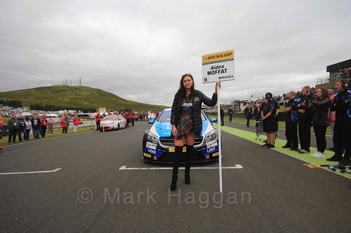 Aiden Moffat on the grid during the BTCC Knockhill Weekend 2016