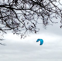 Kitesurfing in Boundary Bay.