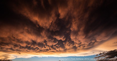 Amazing Sunset Mammatus • <a style="font-size:0.8em;" href="http://www.flickr.com/photos/65051383@N05/27369789622/" target="_blank">View on Flickr</a>