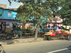IMG_6971
