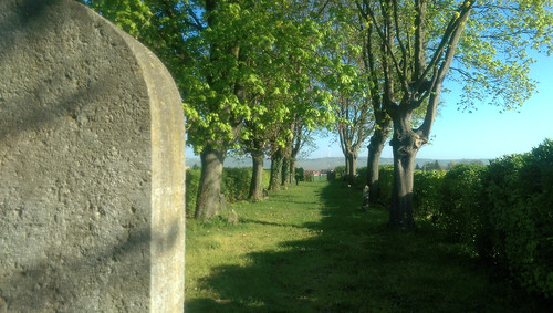 Jüdischer Friedhof bei Hahnheim