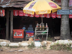 Cambodian Gas Station