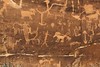 Rochester Creek petroglyphs #28