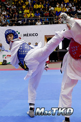Panamericano de Taekwondo G4 2016