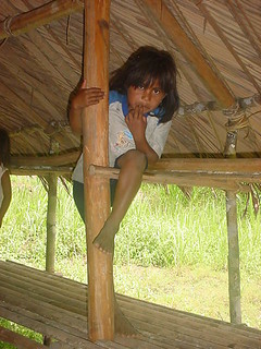 Venezuela - Estado de Amazonas - Indígenas