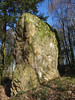 Le Menhir dit "Pierre de Richebourg"  Retiers - Ille-et-Vilaine - Mars 2015 - 05