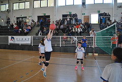 1° torneo Città di Celle Ligure - pomeriggio • <a style="font-size:0.8em;" href="http://www.flickr.com/photos/69060814@N02/16530353033/" target="_blank">View on Flickr</a>