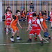 Torneo Alevín en el Pilar • <a style="font-size:0.8em;" href="http://www.flickr.com/photos/97492829@N08/17081597598/" target="_blank">View on Flickr</a>