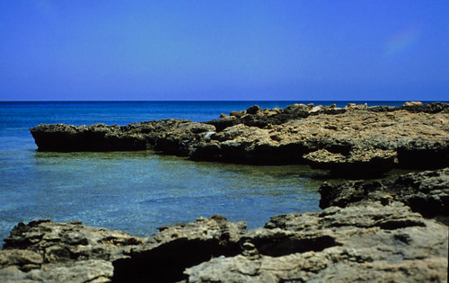 331Zypern Ayia Napa Nissi Beach (c) • <a style="font-size:0.8em;" href="http://www.flickr.com/photos/69570948@N04/17158377219/" target="_blank">Auf Flickr ansehen</a>