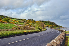 Road Trip in Northern Ireland