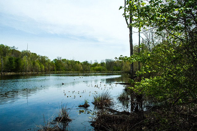 Hoosier National Forest - Paw Paw Marsh - April 24, 2015