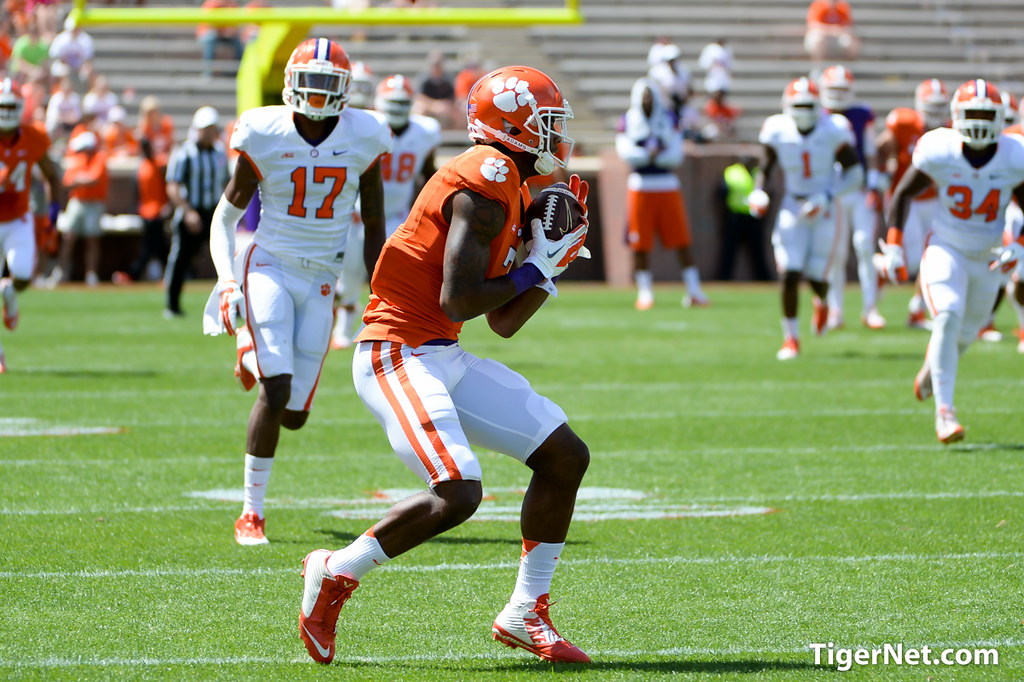 Clemson Football Photo of Mike Williams